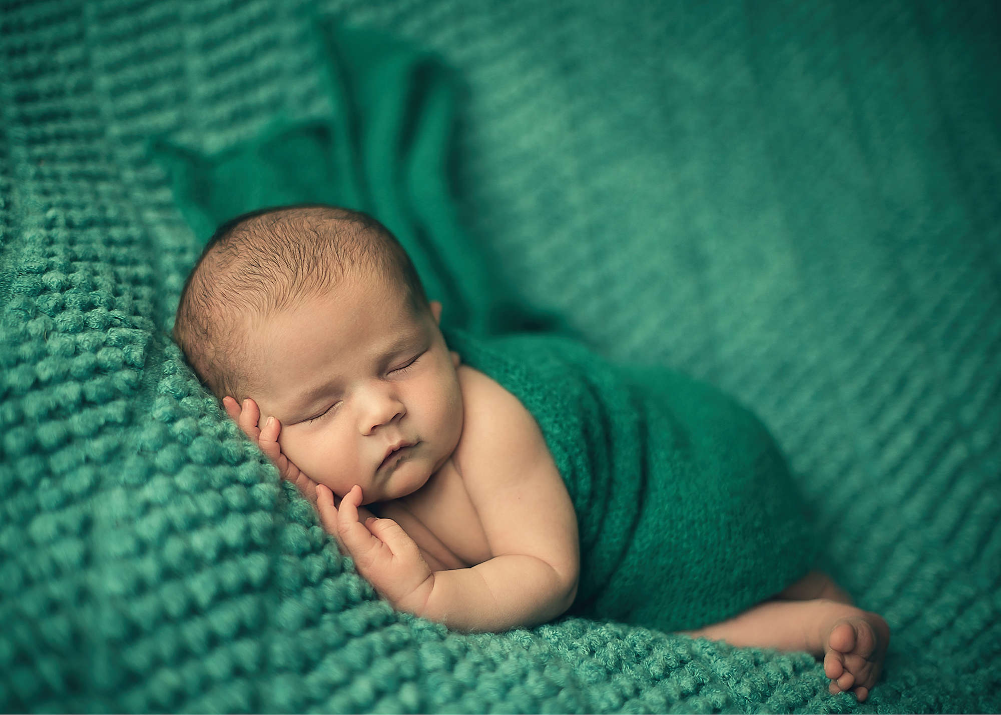 newborn photography art artistic spring portrait family photography photoshoot laura rachel photographer 3